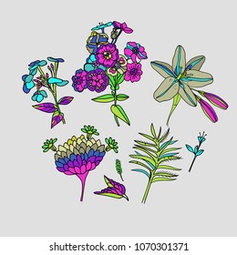 Flowers. A set of separate flowers - lilies, anemones, leaves