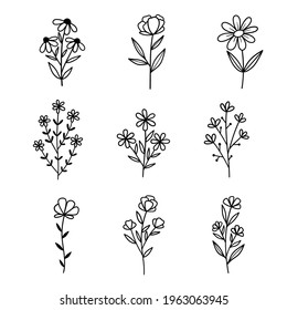 Flowers. Set of sketches of different summer flowers. Hand drawn botanical illustration. Outline drawing. Line vector illustration.  Isolated on white background. Good for posters, t shirts, postcards