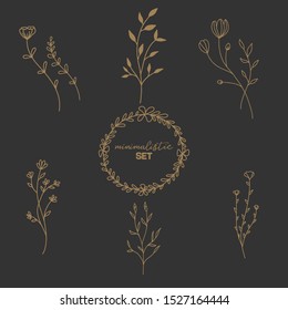 Flowers set. Set of thin line flowers isolated. Minimalist style. Floral elements. Vector illustration.