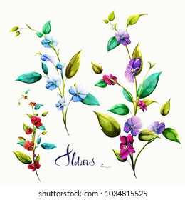 Flowers. Set of three bouquets. Flax bud with stem and leaf on white. Can be used in design purpose. Hand drawn illustration, vector - stock.