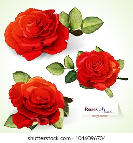 Flowers. Set of three buds. Roses with leaves on white. Can be used in design purpose. Hand drawn illustration, vector - stock.