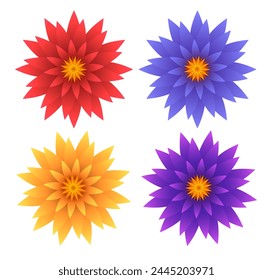 Flowers set. Vector clipart isolated on transparent background.