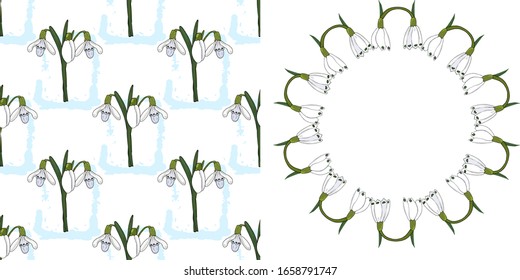 Flowers set in vector. Floral round frame with snowdrops Seamless pattern of snowdrops Beautiful snowdrops for spring decor.
