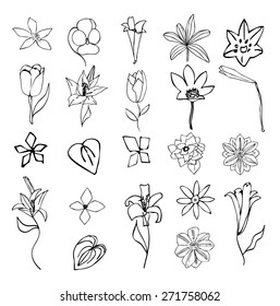 Flowers set, vector Illustration, eps 8