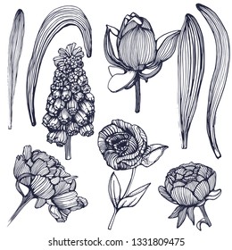 flowers set vector illustration isolated on white background, hand drawing