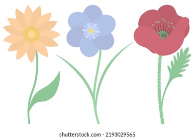 Flowers. Set of vector illustrations. Gerbera, violet, poppy. Delicate plants with green leaves. Flowering plants with a yellow heart. Flat style. Isolated background. Idea for web design, invitations