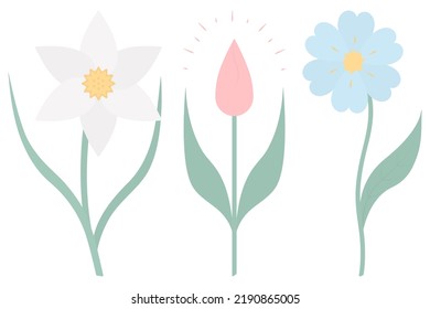 Flowers. Set of vector illustrations. Narcissus, tulip, cornflower. Delicate plants with green leaves. Flowering plants with a yellow heart. Flat style. Isolated background. Idea for web design