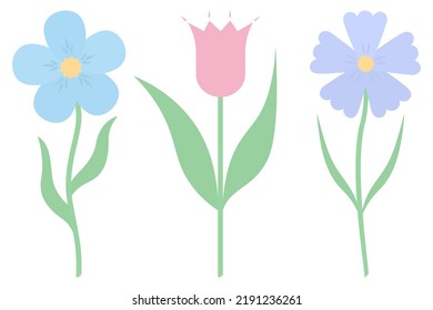 Flowers. Set of vector illustrations. Violet, tulip, cornflower. Delicate plants with green leaves. Flowering plants with a yellow heart. Flat style. Isolated background. Idea for web design