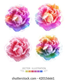 Flowers set of vector isolated illustration, EPS10.