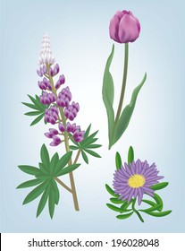 flowers. set of vector sketch on blue background