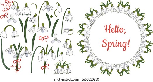 Flores establecidas en vector. Nieve aísla elementos sobre fondo blanco. Marco redondo floral con nevadas, resorte de adiós de texto. Hermosas flores primaverales para decoración e impresión. Pantalones de nieve vectoriales, conjunto floral