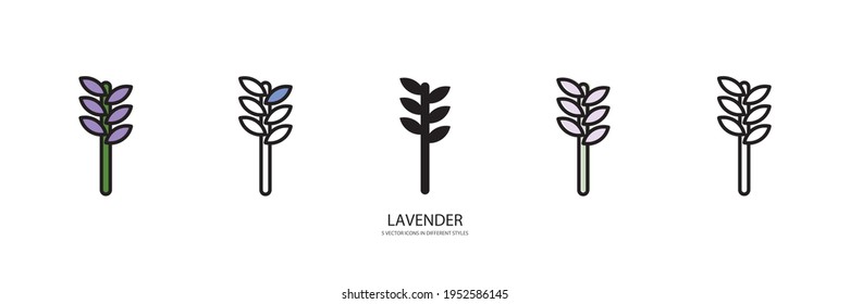 flowers set vector type icon