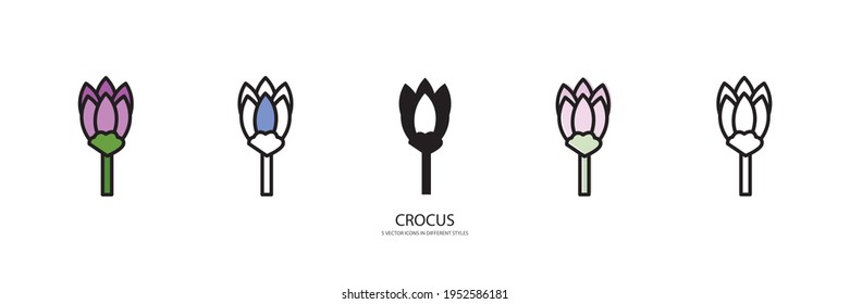 flowers set vector type icon