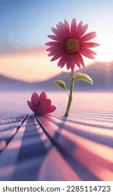 flowers are shaded by the sun in the middle of a field against a free sky background