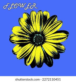 Flowers and shadow on blue background. Modern retro pop art style