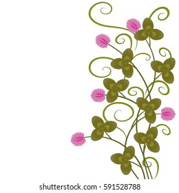 flowers shamrock clover for luck
