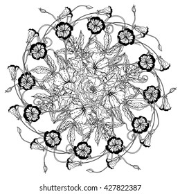 flowers in shape of mandala in old masters style bouquet for adult coloring book or for zen art therapy anti stress drawing. Hand-drawn, vector, detailed mandala, for coloring book, poster design