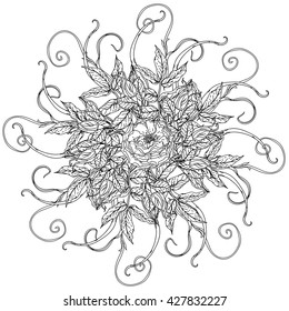 flowers in shape of mandala in old masters style bouquet for adult coloring book or for zen art therapy anti stress drawing. Hand-drawn, vector, detailed mandala, for coloring book, poster design