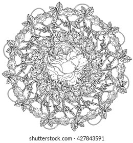 flowers in shape of mandala in old masters style bouquet for adult coloring book or for zen art therapy anti stress drawing. Hand-drawn, vector, detailed mandala, for coloring book, poster design.