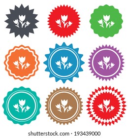 Flowers sign icon. Roses symbol. Bouquet. Stars stickers. Certificate emblem labels. Vector