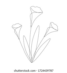 Flowers silhouette line drawing on white background, vector illustration