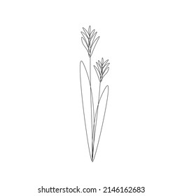 Ilustración vectorial de líneas de silueta de flores