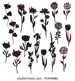 Flowers silhouette set in black