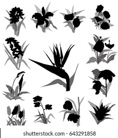 Flowers Silhouette Set - vector