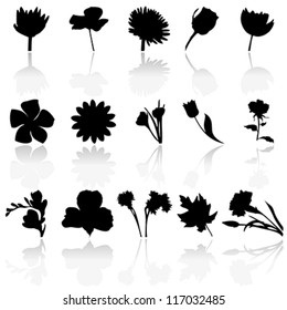 Flowers silhouettes