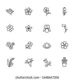 Flowers simple line icon set vector illustration