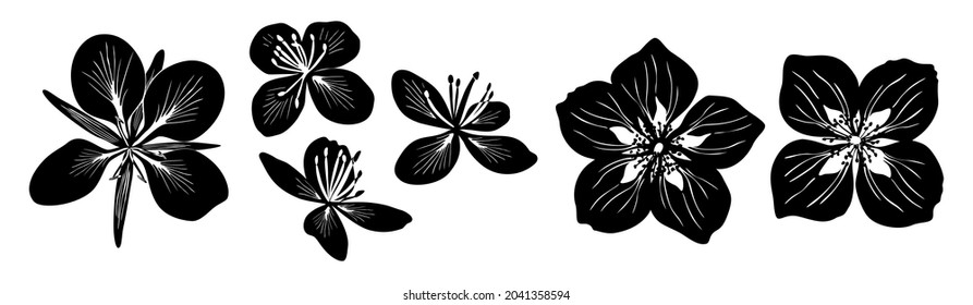Flowers. Six black vector silhouettes of celandine, jasmine and fireweed flowers isolated on white background.