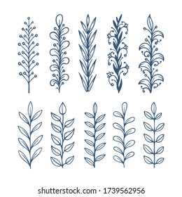 Flowers sketch drawing collection. Hand drawn flowers brushes. Sketch drawing simple plants illustrations. Part of set. 