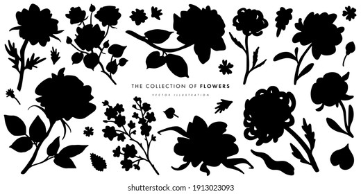 Flowers sketch set. Hand drawn graphic plants. Vector illustration of different flowers isolated on white background