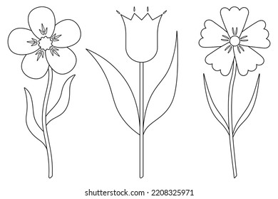 Flowers. Sketch. Set of vector illustrations. Violet, tulip, cornflower. Delicate plants with leaves. Flowering plants. Coloring book for children. Doodle style. Outlines on an isolated background. 