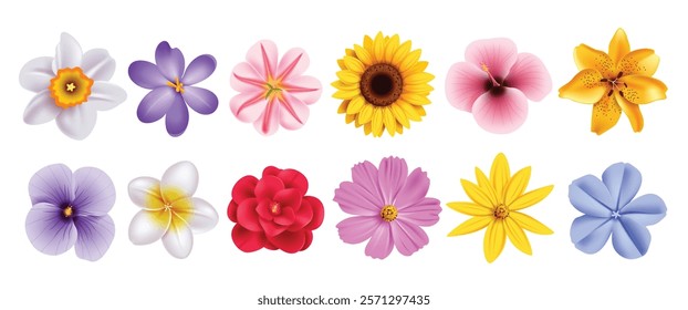 Flowers spring drawing clipart set. Spring flower in colorful collection like daisy, jonquil, sunflower, daffodil and crocus floral bouquet clip art. Vector illustration beautiful flora 3d elements 