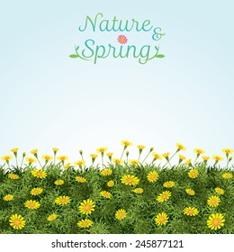 Flowers Spring Field Season Background