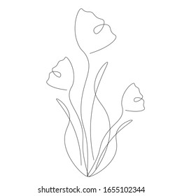 Flowers spring line drawn on white background vector illustration