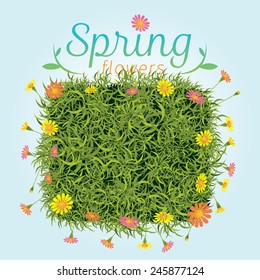Flowers Spring Season Background 
