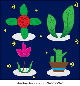 Flowers and Stars in the Night