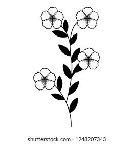 flowers stem botanical on white background