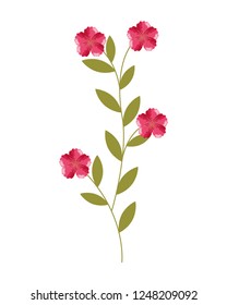 flowers stem botanical on white background
