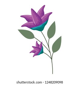 flowers stem botanical on white background