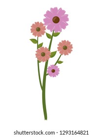 flowers stem leaves