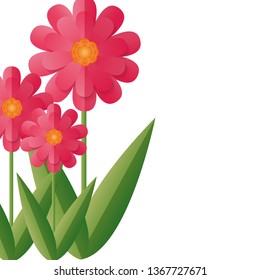 flowers stem leaves