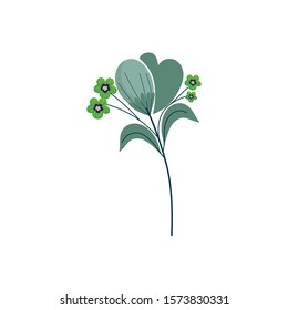 flowers stem leaves petals nature decoration icon vector illustration