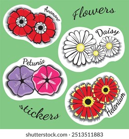 Flores adesivos definir estilo cartoon Anemone, Daisy, Helenium, Petunia. Para impressão, web, tecido, papel.