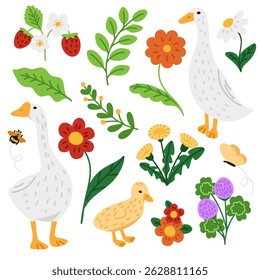 Flowers, strawberries, geese. Vector illustration