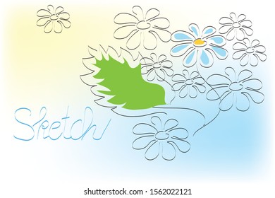 flowers summer spring cool backgroung