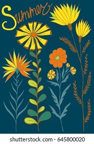 Flowers summer vector illustration hand drawing color outline