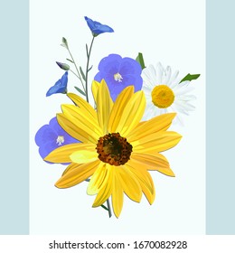  flowers of sunflower,  chamomile, flax, flowers and blossoms linen close up on light blue background, postcard, vector.